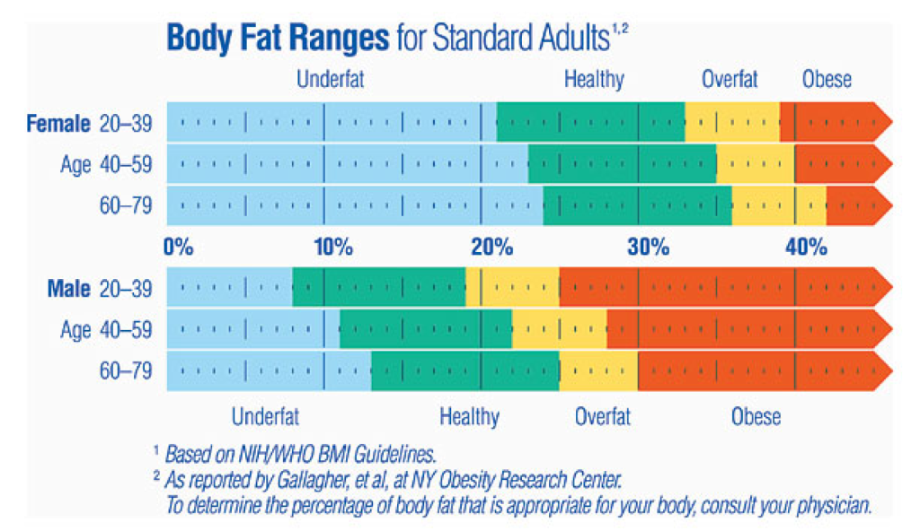 BodyFat