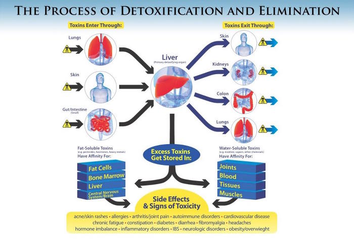 Washing Fat Cells