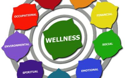 What is a Wellness Plan?