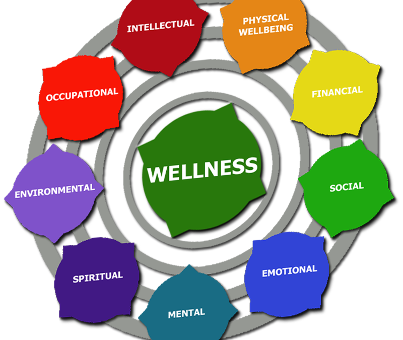 What is a Wellness Plan?