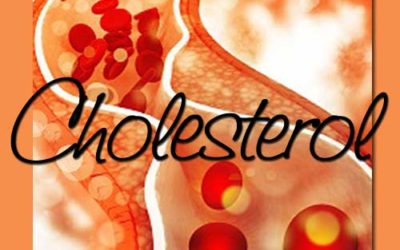 Have You Checked Your Cholesterol?