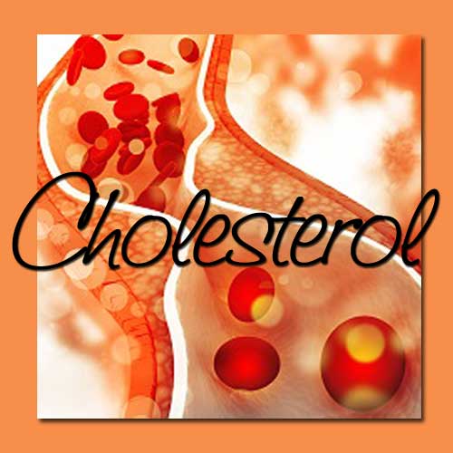 Cholesterol