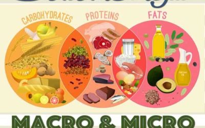 Nutrition Knowing the Right Balance: Macronutrients and Micronutrients