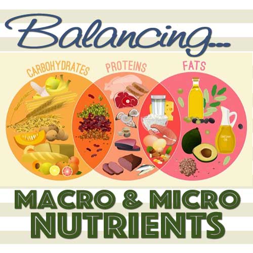 Nutrition Knowing the Right Balance: Macronutrients and Micronutrients