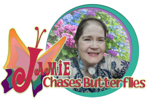 Chasing Wellness with Jamie Holloway